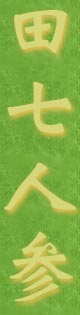 田七人参